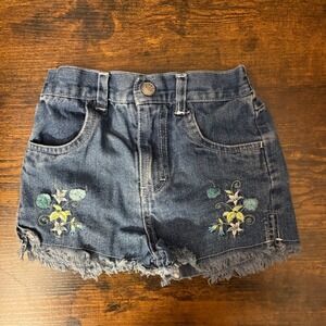 Baby Togs Denim Shorts Embroidered Floral Frayed Hem (Girls 3T)